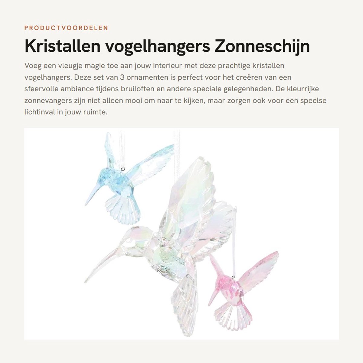 Dailygoods- Vogelhangers 3 stuks - Decoratieve Ornamenten - Acryl Zonnevanger - Hangende Decoratie - Tuindecoratie - Afmetingen 10x9,5x7 cm