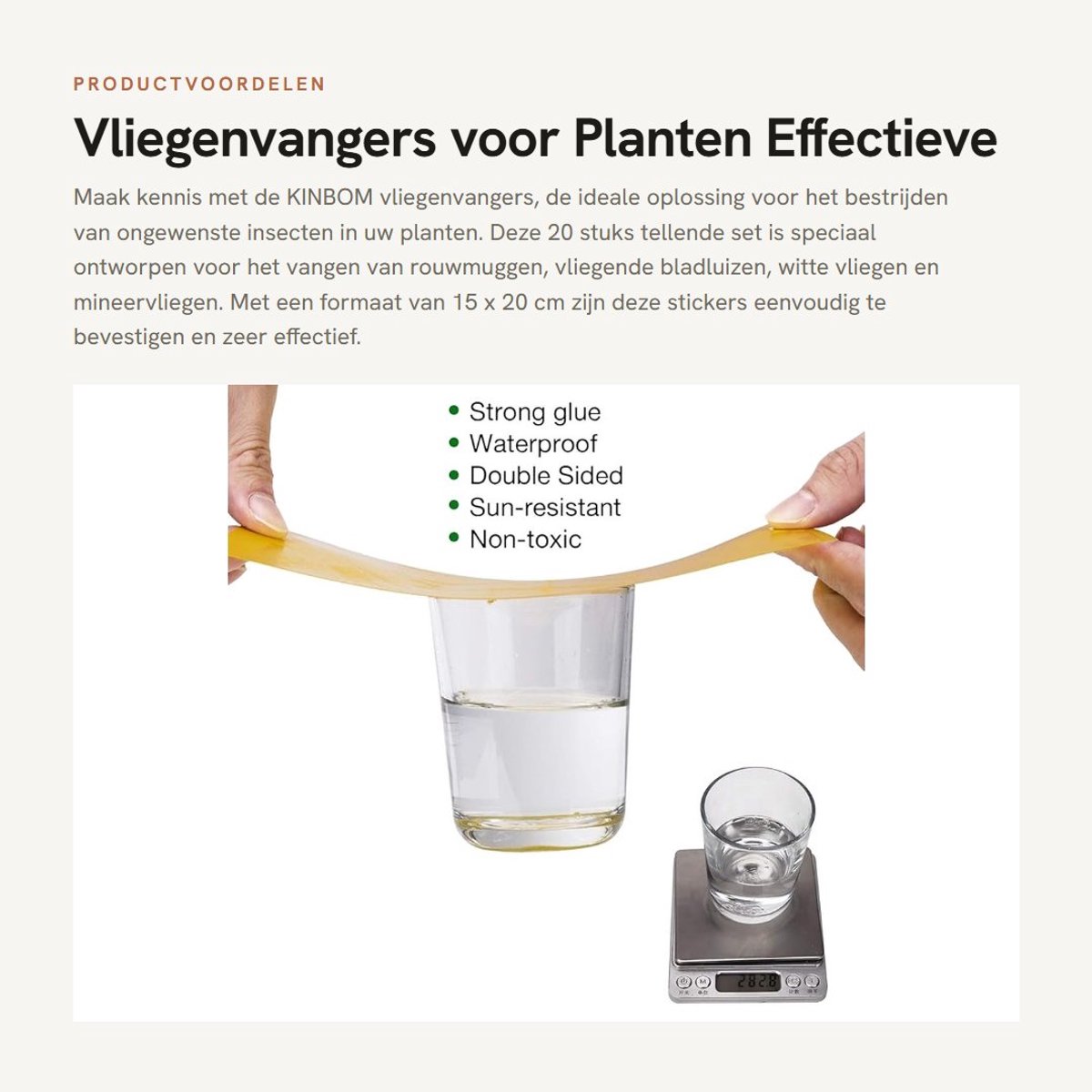 Dailygoods- Vliegenvanger 20 Stuks - Plakstrip voor Planteninsecten - Rouwmuggen - Bladluizen - Witte Vliegen - 15 x 20 cm - Plantenbescherming
