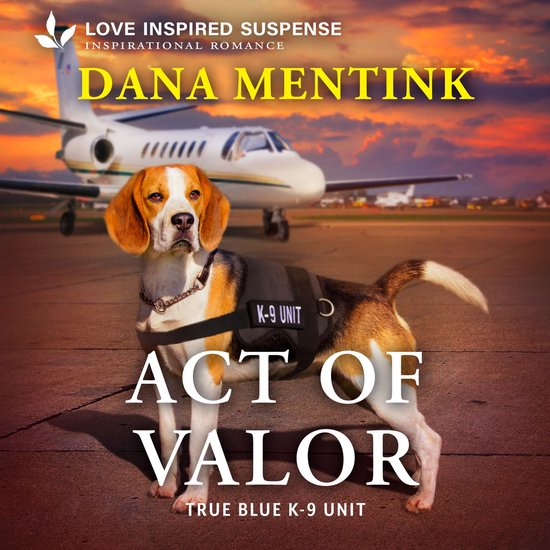 Act of Valor - cover