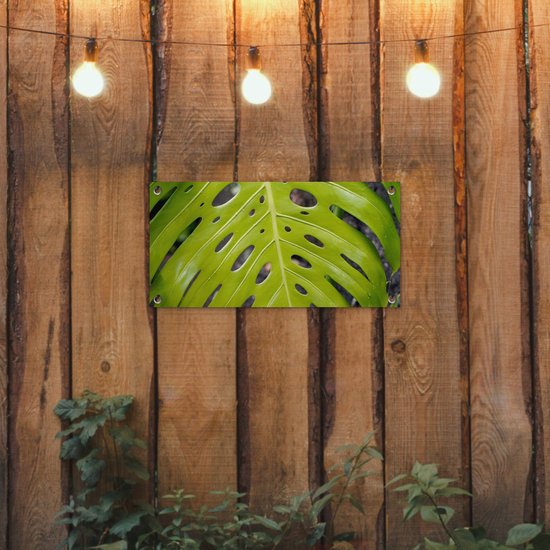 Affiche de jardin Groot feuille botanique de la plante du trou - 60x30 cm - Toile de jardin - Affiche d'extérieur