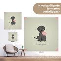 Afbeelding nummer  11