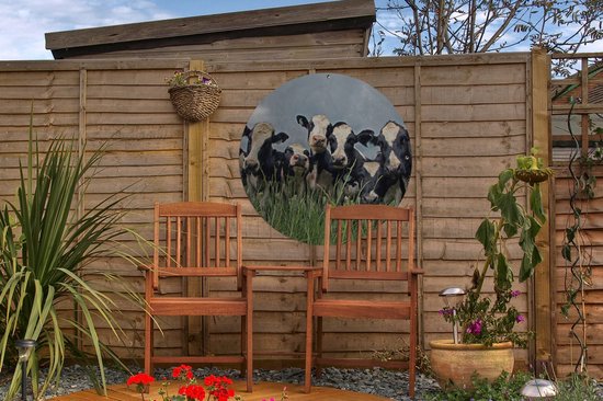 Cercle de jardin Ciel gris au dessus du troupeau de vaches frisonnes - 60x60 cm - Affiche jardin