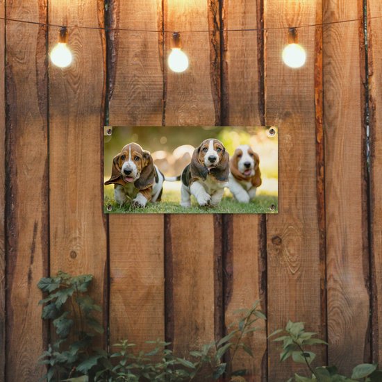 Poster de jardin Les chiots courent dans l'herbe - 60x30 cm - Toile de jardin - Poster extérieur