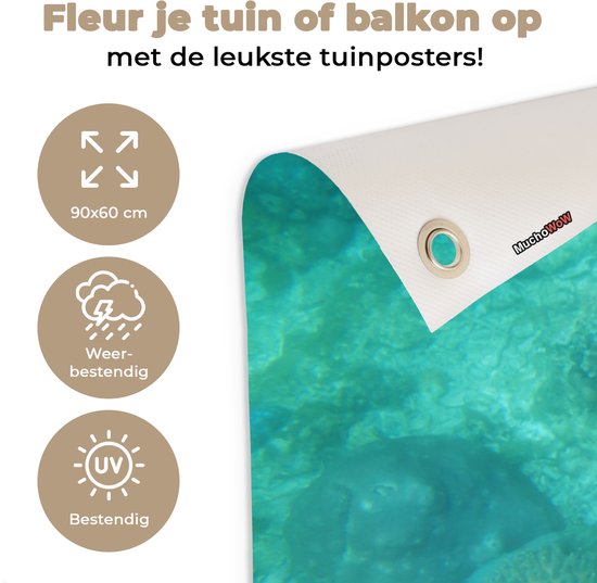 Affiche de jardin Tortue de mer au Reef d'Apo - 100x60 cm - Décoration murale Outdoor - Affiche de jardin - Toile de jardin - Affiche de clôture - Tableau de jardin