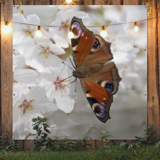 Poster Jardin Papillon paon sur fleur de cerisier - 200x200 cm - Toile jardin - Poster extérieur