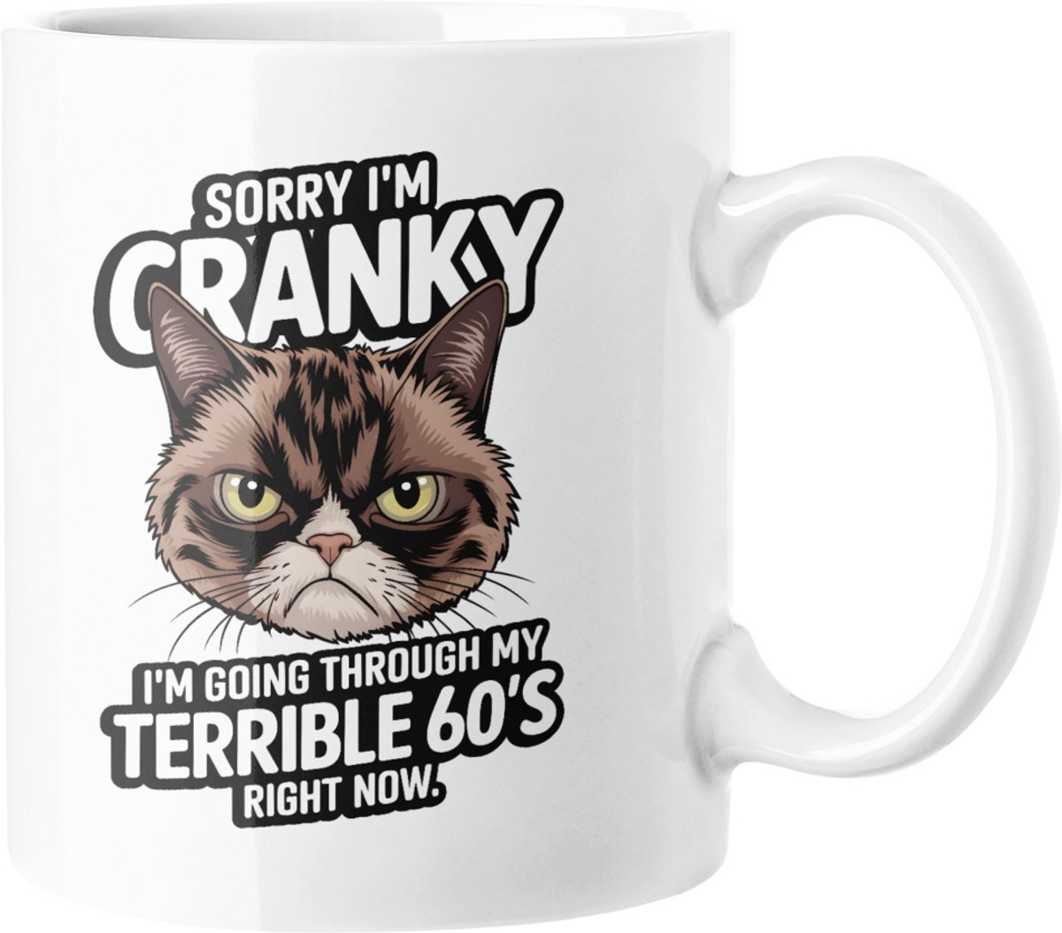 Grumpy Cat Mok voor Zestigers, Grappig Verjaardagscadeau, Senior Humor Koffiekop, Sarcastische Mok, Gag Cadeau voor Ouderen