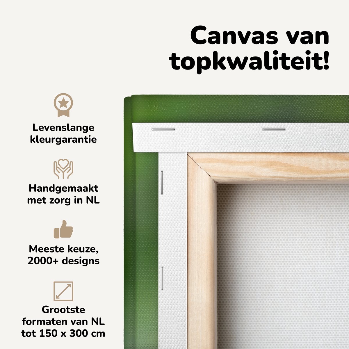 Canvas schilderij 150x100 cm - Wanddecoratie Palmtortel bevindt zich op een boomstam - Muu