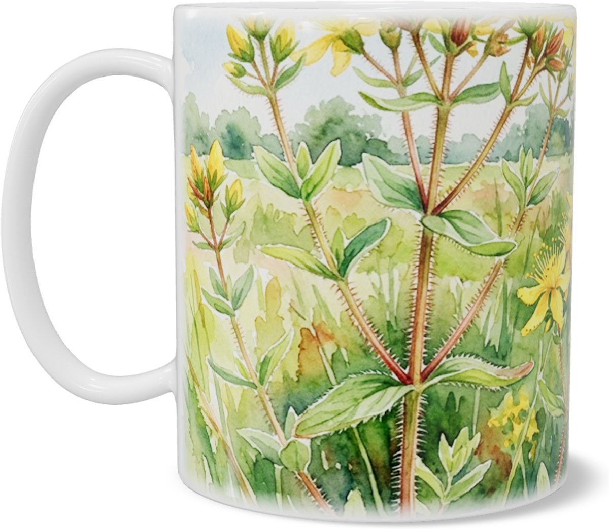 Mok met Kantig Hertshooi - Hypericum - Aquarel Weide