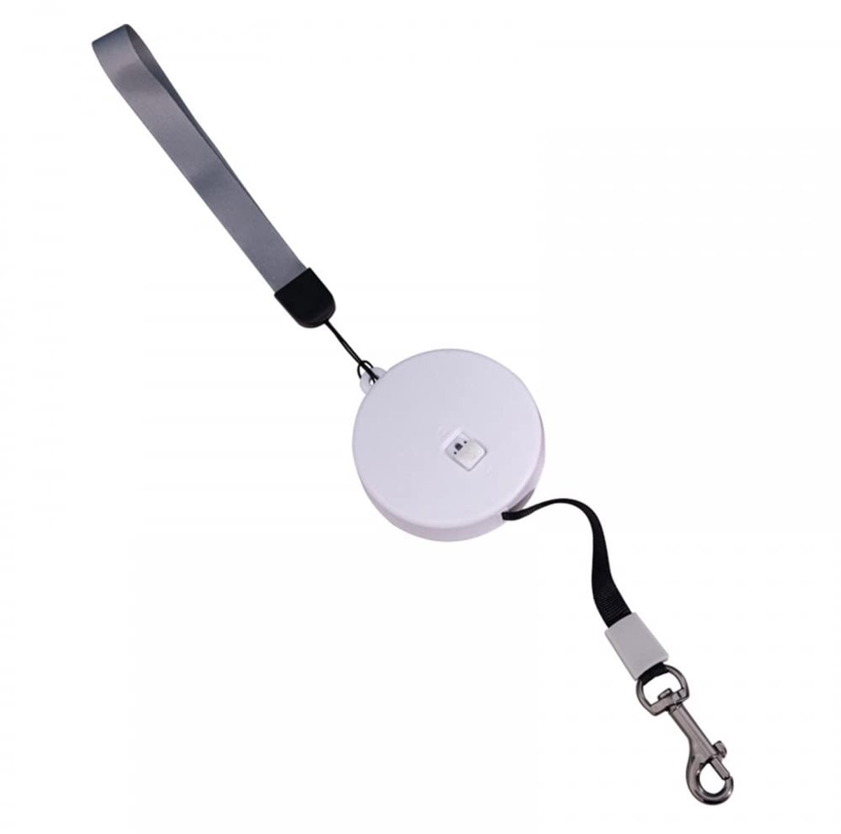 Dailygoods - Intrekbare Hondenlijn voor Kleine Honden tot 5 kg