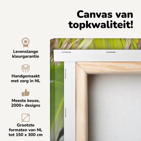 Canvas schilderij 150x100 cm - Wanddecoratie Banaan - Plant - Boom - Muurdecoratie woonkamer - Slaapkamer decoratie - Kamer accessoires - Schilderijen op canvas