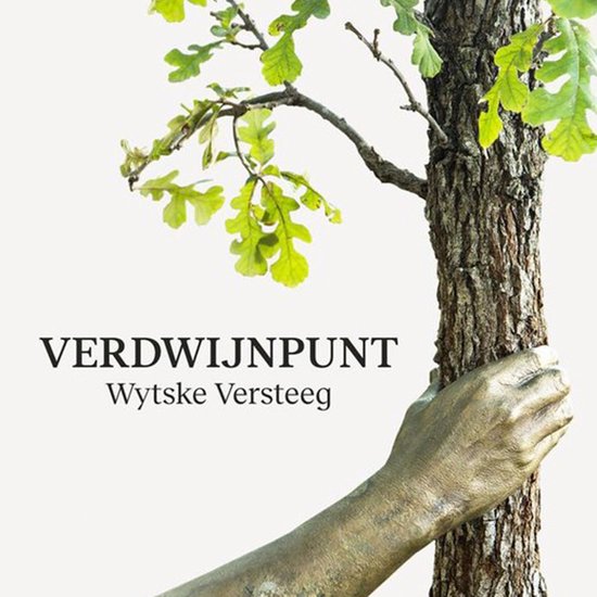 Verdwijnpunt - cover