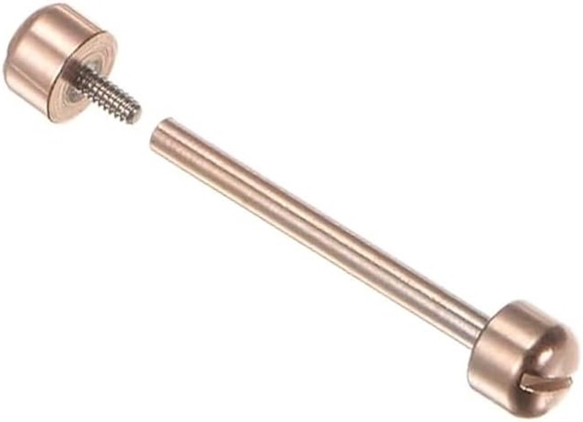 Verbindingsschroef voor Horlogeherstel, Slanke Rechthoekige Horloge Stang met Ronde Schroefkop, Ideaal voor Horlogeband Onderhoud en Reparatie