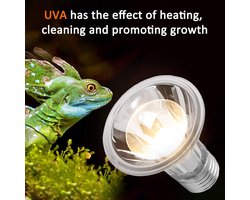 Terrarium Lamp - Warmtelamp Reptielen - Groeibevordering Reptielen - UVA UVB Spectrum - 25 Watt - Transparant