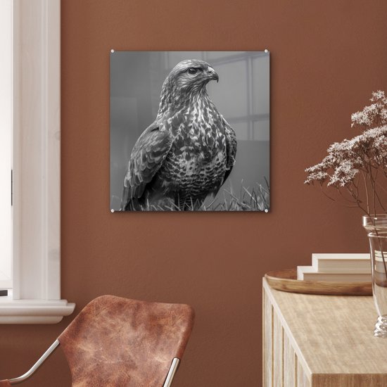 MuchoWow® Peinture sur verre 50x50 cm - Peinture acrylique sur verre - Une buse est assise dans un champ - noir et blanc - Photo sur verre - Peintures