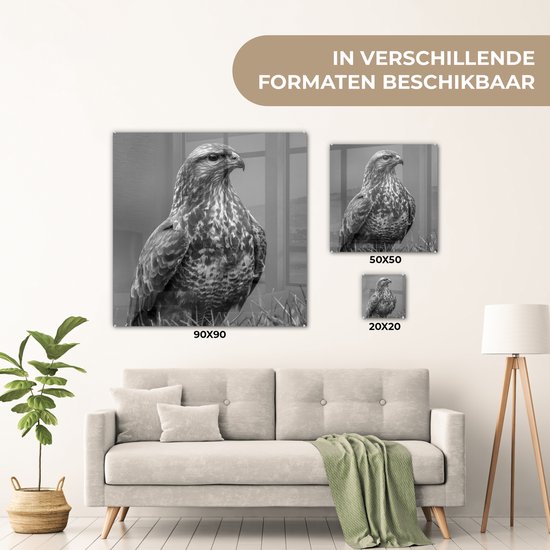 MuchoWow® Peinture sur verre 50x50 cm - Peinture acrylique sur verre - Une buse est assise dans un champ - noir et blanc - Photo sur verre - Peintures