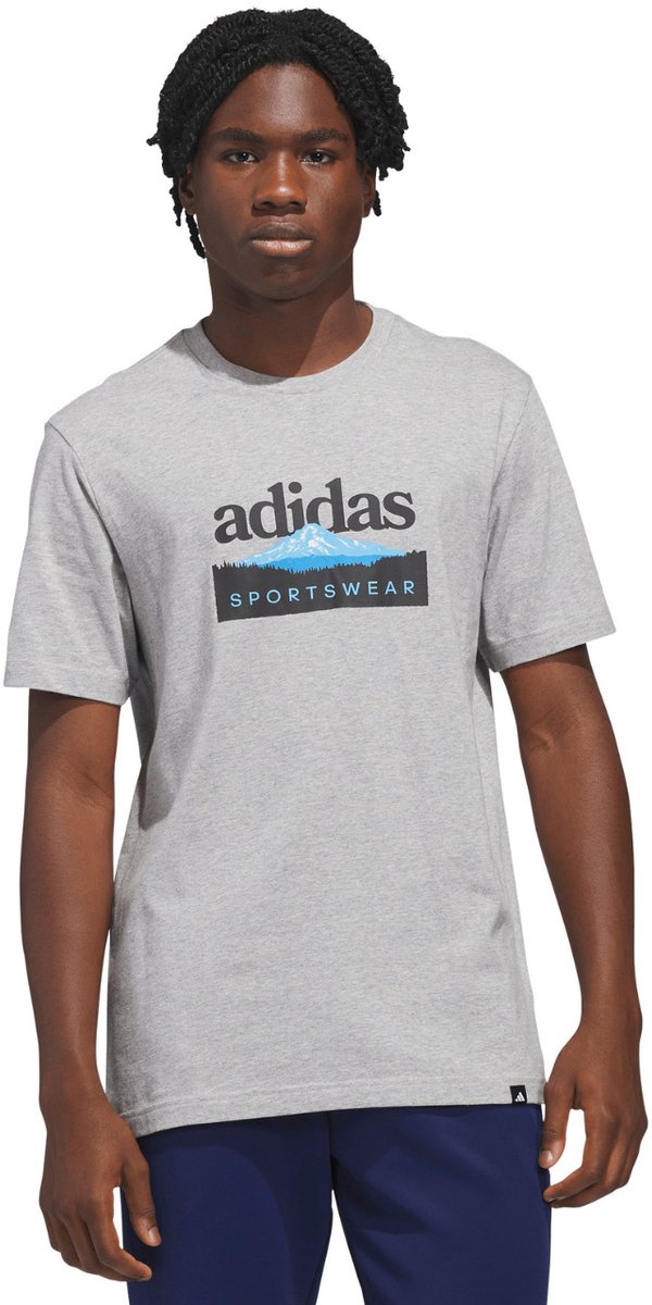 adidas T-shirt Heren Sportsman Mountain Graphic jasnoszara Grijs