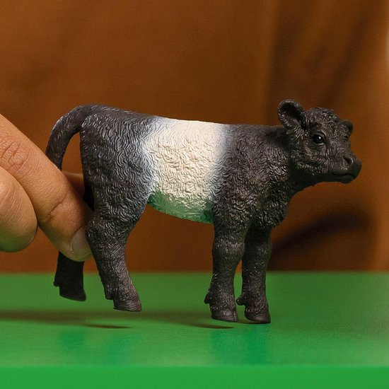 schleich FARM WORLD Galloway Calf, from 3 Years, 13969 - Play Figure, 3 x 8 x 6 cm van Schleich — afbeelding 3