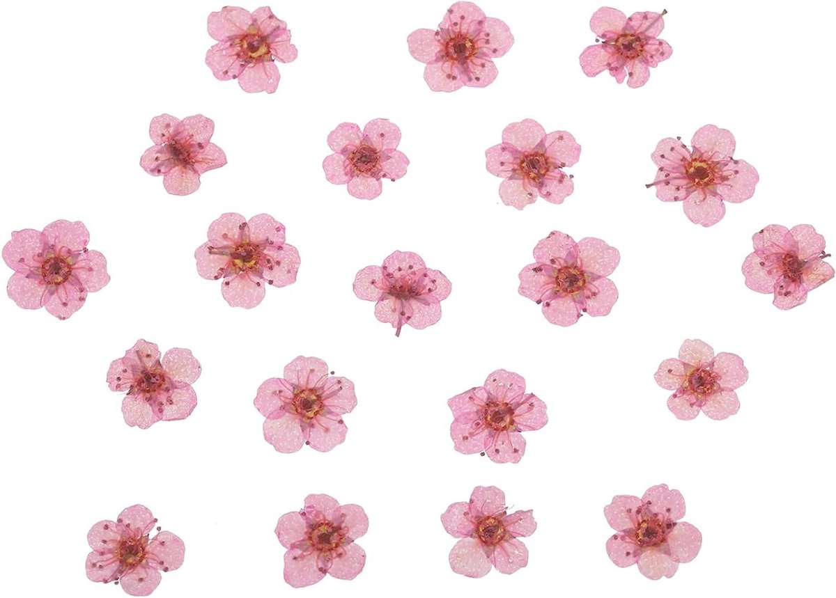 Gedroogde geperste bloemen - Natuurlijke bloemen decoratie - Hars projecten - 60 stuks roze - 0.5-0.8 cm