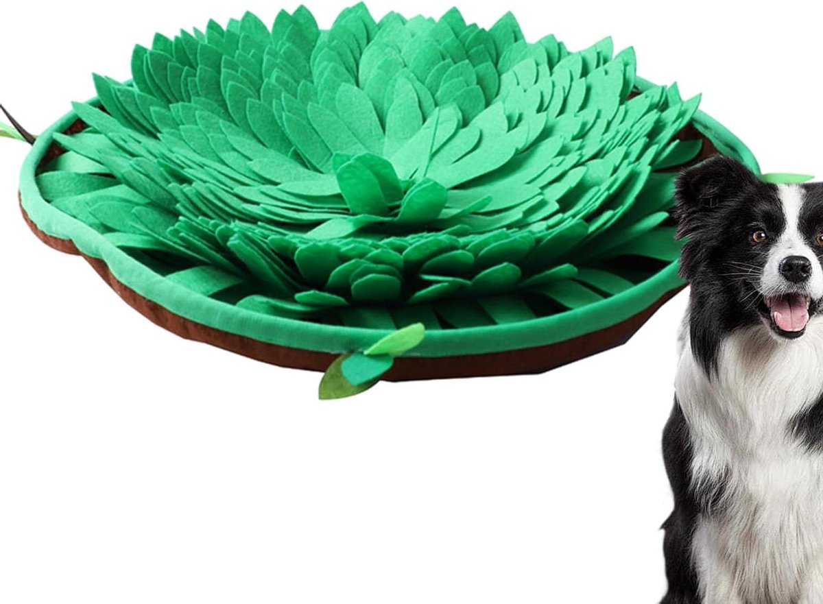 Snuffelmat Hond - Voer Speelgoed - Mentale Stimulatie - Antislip Onderkant - 48 x 48 cm - Koffiekleurig