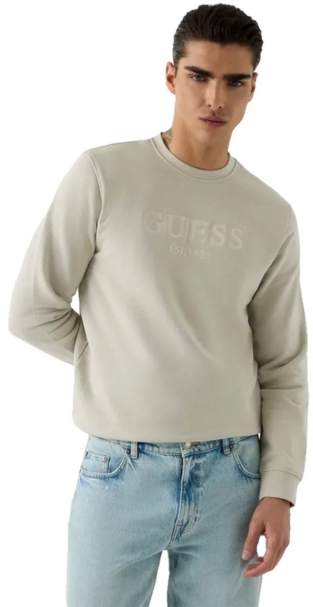Guess Basic Box Logo Sweatshirt Beige,Grijs S Man