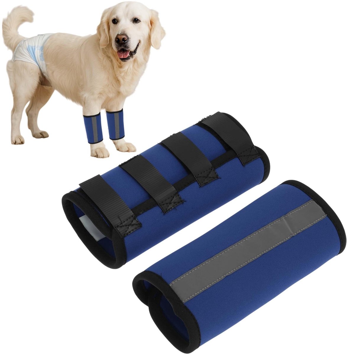 Dailygoods - Innovra - Hond Voorbeen Gewrichtssteun met Reflecterende Strepen