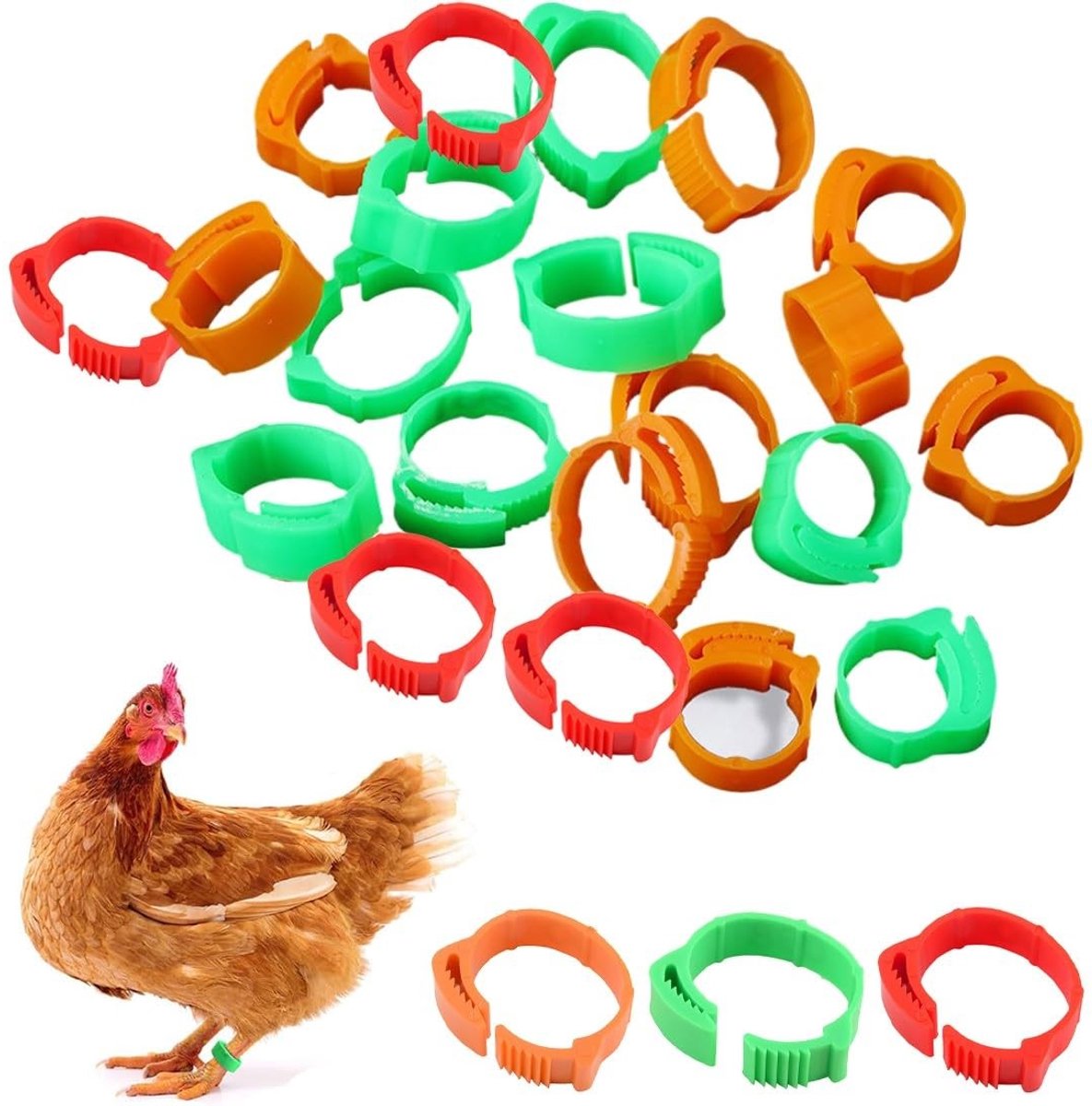 Dailygoods- Kippenringen 60 Stuks - Gevogelte Voetringen - Kippenbeenringen - Identificatie Band - Clip Beugel - Voor Kippen/Ganzen/Eenden