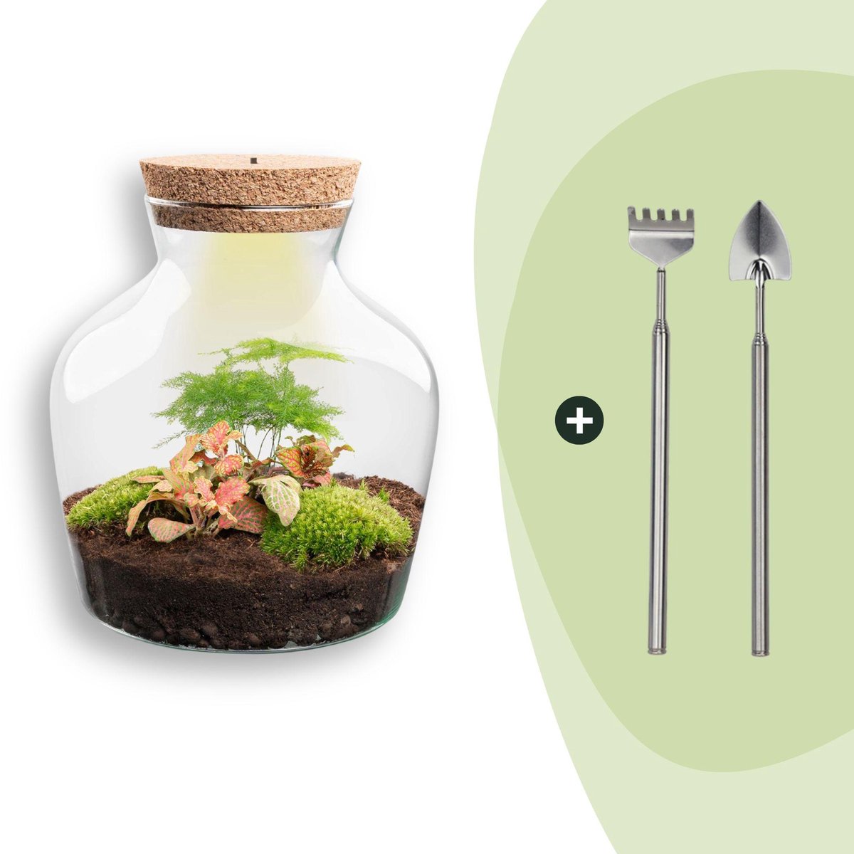 Terrarium - Little Joe - ↑ 21,5 cm - Ecosysteem plant - Kamerplanten - DIY planten terrarium - Mini ecosysteem - Inclusief Hark + Schep