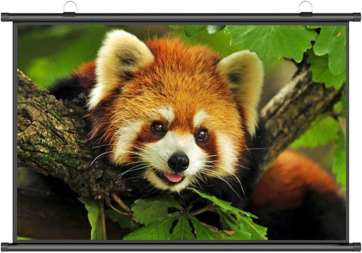 Draagbaar Projectiescherm - Intrekbaar Scherm Filmscherm - Thuisbioscoop Ervaring - HD 4K 3D Beeldkwaliteit - 60 Inch 4:3 - Wit