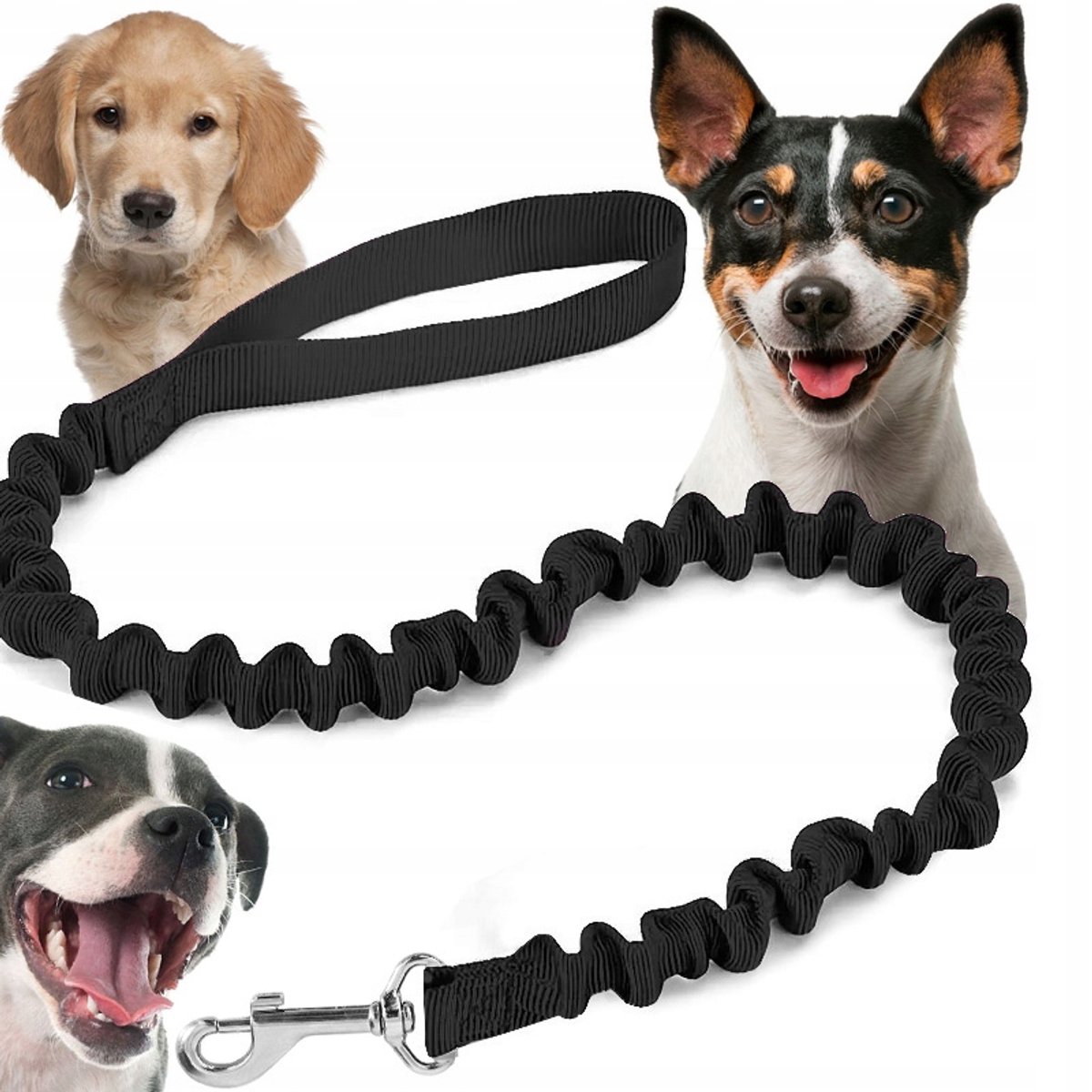 Verstelbare Hondensnoer met Schokdemper voor Trekkende Honden