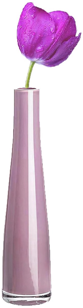 SMOAKEZ- Glazen Vaas Handgemaakt - Bud Vaas - Decoratieve Bloemenvaas - Klein Formaat - 23 cm Hoogte - Voor Tafel/Middelpunt