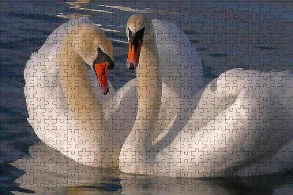 Houten Puzzel - Legpuzzel Stukjes - Ontspannende Hobby - Nauwkeurig Gesneden - 75x50cm - Multicolor