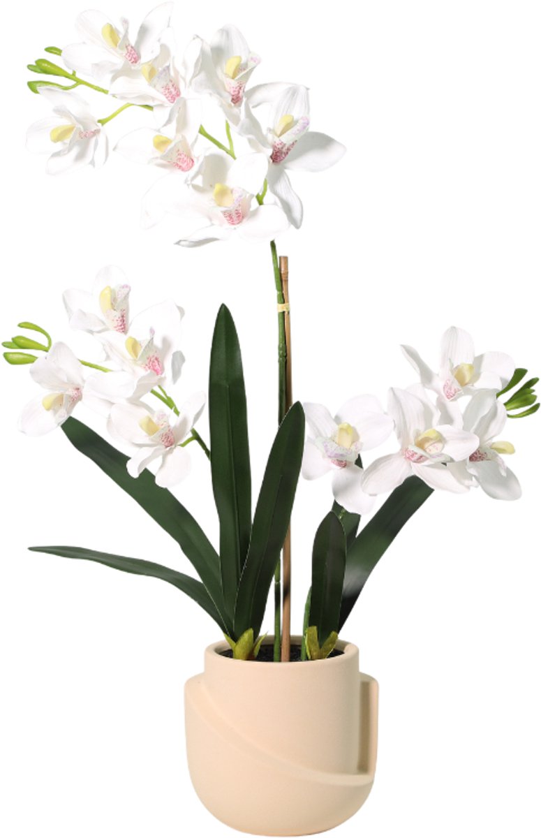 Trendyplants - Kunst Phalaenopsis Orchid Including Pot - Orchidee - Kunstplant - Hoogte 71cm - Potmaat Ø17cm
