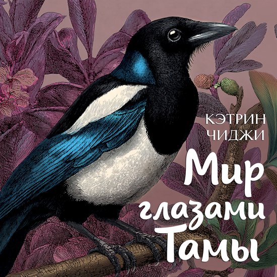 Мир глазами Тамы - cover