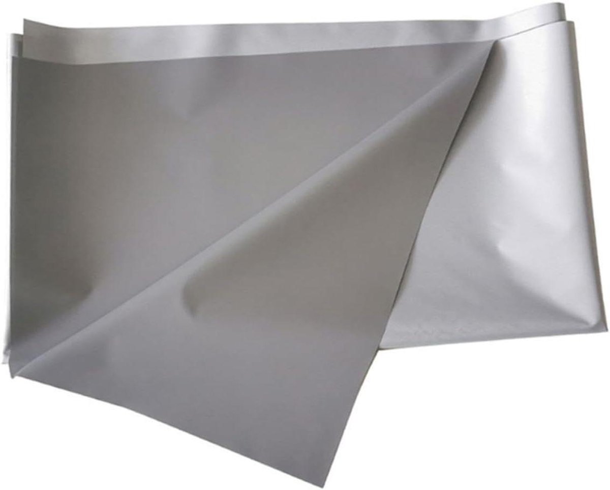 Projectiescherm - Beamerdoek - Thuisbioscoop Creëren - Gelijkmatige Lichtverspreiding - 159 x 90 cm - Zilver