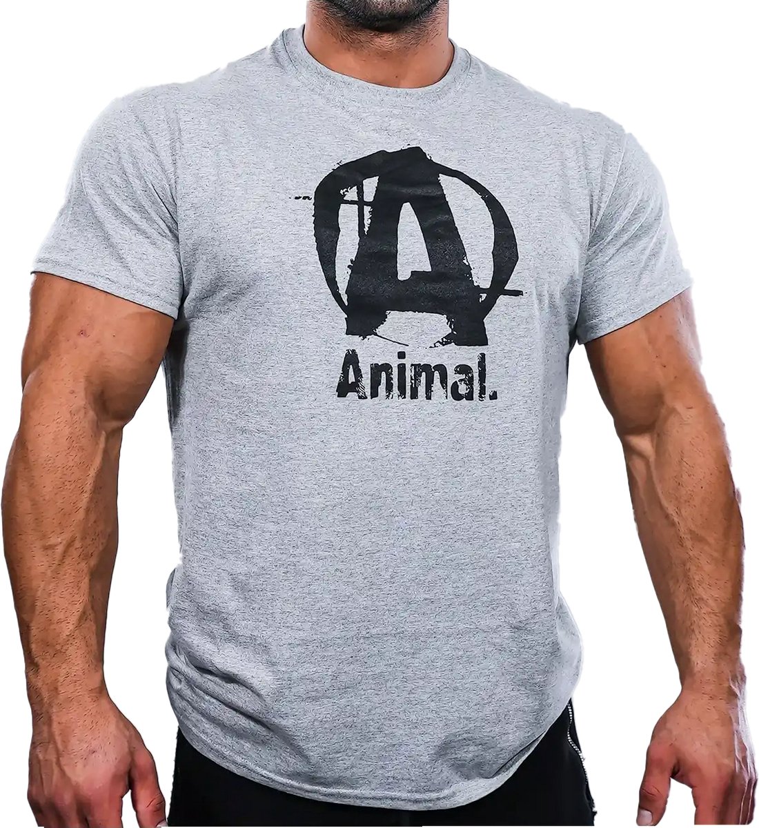 Animal Basic Logo T-Shirt - Grijs - S