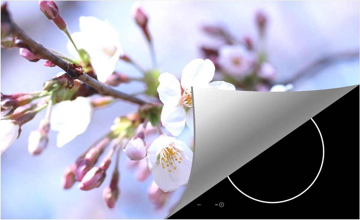 Inductie beschermer - Kookplaat mat - Keuken decoreren - Uniek bloemen design - 59x52 cm - Sakura