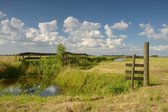 Fotobehang Waterland boerenhek in weiland 450 x 260 cm