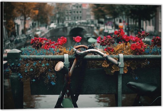 Dibond –Fiets Leunend tegen Brug– 40x30 Foto op Aluminium (Met Ophang)