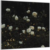 Acrylglas –Witte Bloemenstruik– 100x100 (Met ophang)