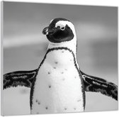 Acrylglas –Zwart Witte Pinguïn – 100x100 (Met ophang)