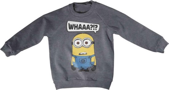 Minions Sweater/trui kids -Kids tm 6 jaar- Whaaa?!? Grijs