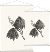 Paardenkastanje zwart-wit plus (Horse Chestnut) - Foto op Textielposter - 90 x 135 cm
