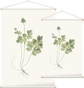 Muskuskruid (Moschatel) - Foto op Textielposter - 120 x 180 cm