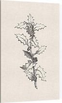 Ilex Hulst zwart-wit (Holly Branch) - Foto op Canvas - 60 x 90 cm