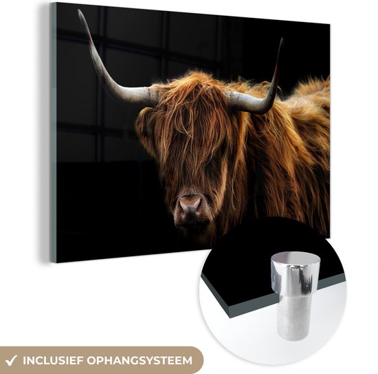 Peinture sur verre Highlander écossais - Cornes - Zwart - Animaux - Vache - Salon - 120x80 cm - Photo sur verre - Décoration murale verre - Décoration chambre - Plaque de verre - Décoration murale