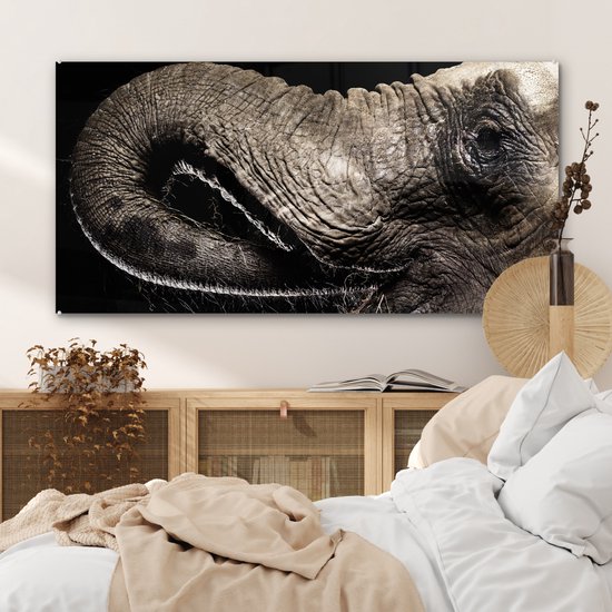 MuchoWow® Peinture sur verre 120x60 cm - Peinture acrylique sur verre - Éléphant - Animaux - Zwart - Nature - Photo sur verre - Peintures