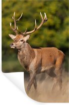 Stickers muraux - Film autocollant - Animaux - Cerfs - Bois - Animaux de la forêt - Nature - 80x120 cm - Film adhésif - Stickers muraux Chambre d'enfant - Papier peint autocollant