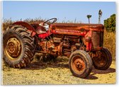 Acrylglas - Oude Verroeste Rode Tractor in het Weiland - 40x30 cm Foto op Acrylglas (Met Ophangsysteem)