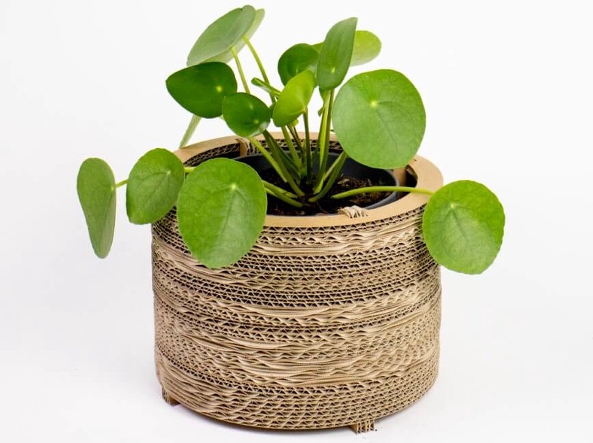 Kartonnen bloempot roos Maat M - Diameters 23 cm - Kartent