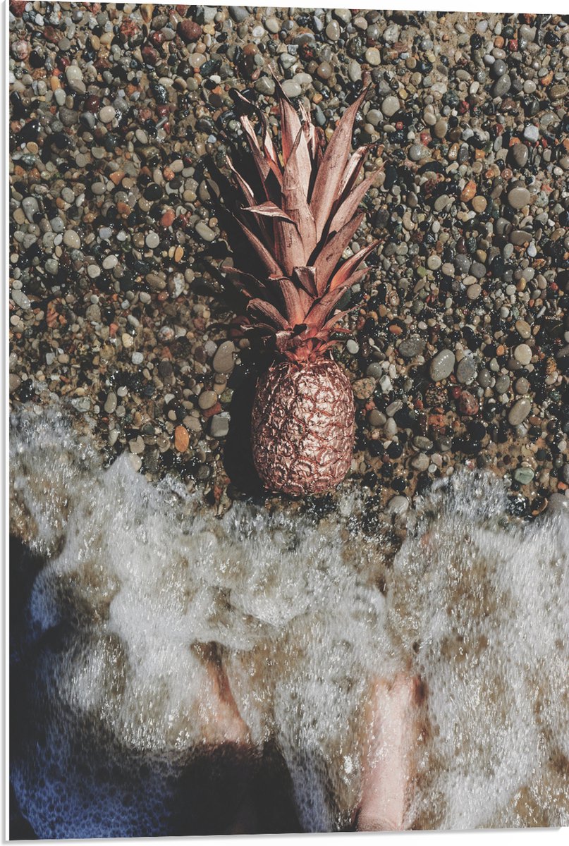 PVC Schuimplaat - Ananas op Kiezelstrand - 50x75 cm Foto op PVC Schuimplaat (Met Ophangsysteem)